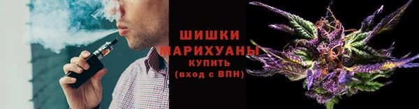 твердый Майский